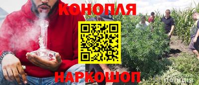 spice Моздок