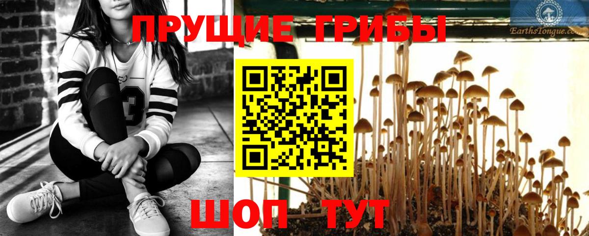 Сочи  Галлюциногенные грибы мухоморы  Вход с VPN  Псилоцибиновые грибы прущие грибы 